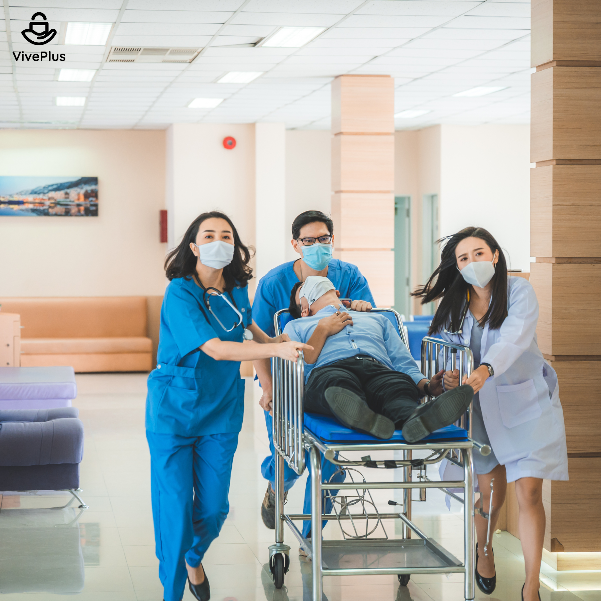 Plan Local (Venezuela)